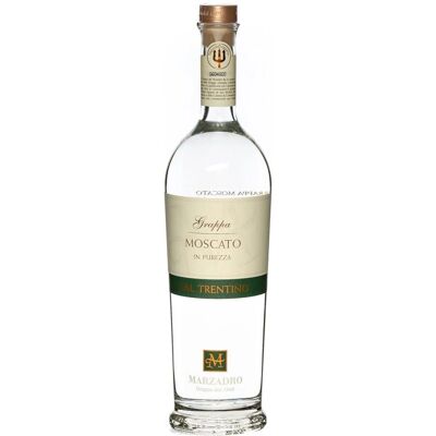 Marzadro - Grappa Moscato in Purezza - 41% - Grappa Marzadro - Grappa Moscato in Purezza - 41% - Grappa