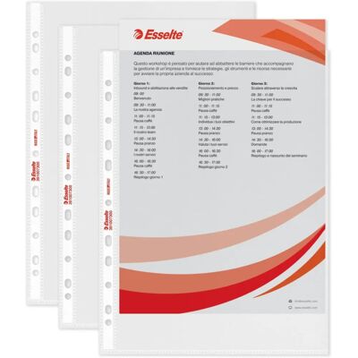 Esselte Modèle 391007300 - Dossier Perforé Universel Goffré - 22x30cm Esselte Modèle 391007300 - Dossier Perforé Universel Goffré - 22x30cm