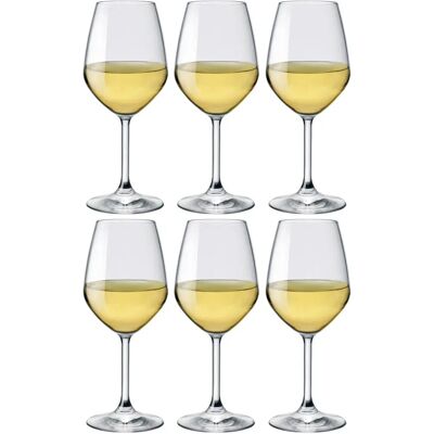 Conjunto de 6 taças de vinho branco Bormioli Rocco - 44cl - Vidro de alta qualidade Conjunto de 6 taças de vinho branco Bormioli Rocco - 44cl - Vidro de alta qualidade