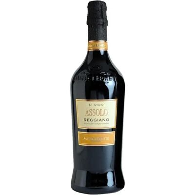 Medici Ermete Assolo Lambrusco Reggiano DOC - Trockener Rotwein Medici Ermete Assolo Lambrusco Reggiano DOC - Trockener Rotwein