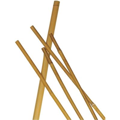 Stecco in bambù VERDELOOK - 105cm - Supporto per piante Stecco in bambù VERDELOOK - 105cm - Supporto per piante