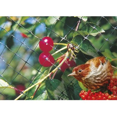 Rete Anti-Uccelli VerdeLook - Protezione Giardino e Alberi da Frutto Rete Anti-Uccelli VerdeLook - Protezione Giardino e Alberi da Frutto
