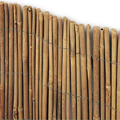 Bricoman Arella Recinzione in Bambù - 1,5x3m Materiale Naturale Bricoman Arella Recinzione in Bambù - 1,5x3m Materiale Naturale