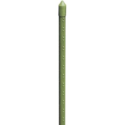 BIACCHI Supporto per piante in bambù - 8mm x 60cm - Bastoncino di supporto BIACCHI Supporto per piante in bambù - 8mm x 60cm - Bastoncino di supporto