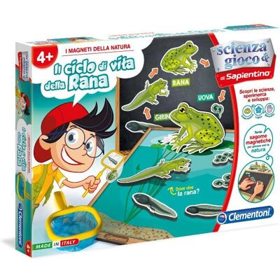 Clementoni 13977 Gioco educativo sul ciclo di vita della rana Clementoni 13977 Gioco educativo sul ciclo di vita della rana