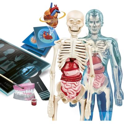 Clementoni Menschlicher Körper Interaktives Wissenschaftsspiel - Anatomie-Labor - Lehrreiches AR Clementoni Menschlicher Körper Interaktives Wissenschaftsspiel - Anatomie-Labor - Lehrreiches AR