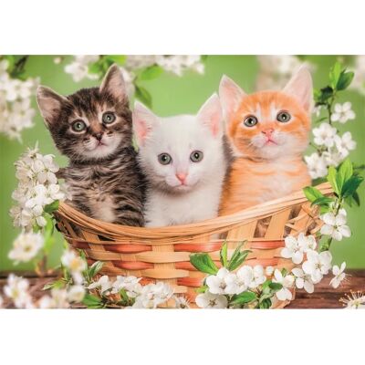 Clementoni 24820 Puzzle - 2 puzzles Clementoni 24820 Puzzle - 2 puzzles
