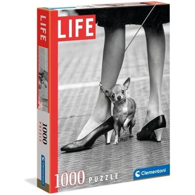 Clementoni - Chihuahua - 1000 pièces - Puzzle - Publicité Clementoni - Chihuahua - 1000 pièces - Puzzle - Publicité