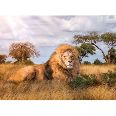 Clementoni The King 1000-Piece Jigsaw Puzzle - Animals Clementoni The King 1000-Piece Jigsaw Puzzle - Animals