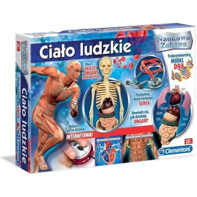 Clementoni Ludzkie Ciało - Edukacyjna Zabawka z Szkieletem i Organami Clementoni Ludzkie Ciało - Edukacyjna Zabawka z Szkieletem i Organami