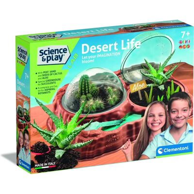 Clementoni 97858 Play Lab-Życie na pustyni, Terrarium ogrodnictwo Dzieci, Zestaw naukowy dla dzieci 7 - Zestaw naukowy Clementoni 97858 Play Lab-Życie na pustyni, Terrarium ogrodnictwo Dzieci, Zestaw naukowy dla dzieci 7 - Zestaw naukowy