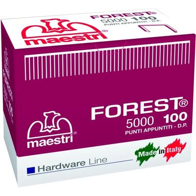 Chiodi Forest 110 di Fraschetti - 5000 pz per pinzatrice manuale Chiodi Forest 110 di Fraschetti - 5000 pz per pinzatrice manuale
