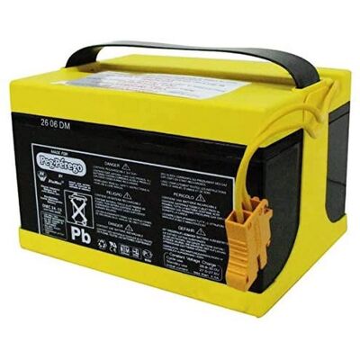 Batterie Peg Perego 24V 8Ah - Accessoire Véhicule Électrique Batterie Peg Perego 24V 8Ah - Accessoire Véhicule Électrique