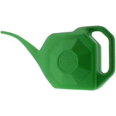 Regadera de Plástico Di Martino con Boquilla Larga - 2L Regadera de Plástico Di Martino con Boquilla Larga - 2L