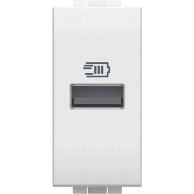 BTicino USB Oplader N4191A - 1 Module, Wit, 5V, 15W BTicino USB Oplader N4191A - 1 Module, Wit, 5V, 15W