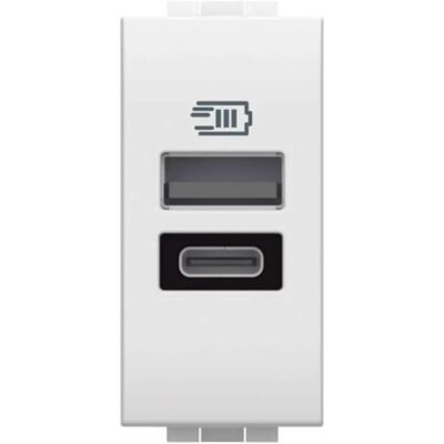 BTicino N4191AC USB Oplader - Dubbele USB, 15W, Wit, 1 Module BTicino N4191AC USB Oplader - Dubbele USB, 15W, Wit, 1 Module