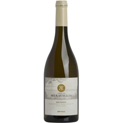 Tenuta Meraviglia Vermentino Bolgheri Botro dei Fichi 2023 - Vin - Publicité Tenuta Meraviglia Vermentino Bolgheri Botro dei Fichi 2023 - Vin - Publicité