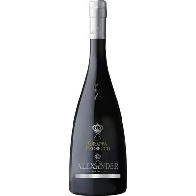 Bottega Grappa Prosecco Monovarietale 0,7 Liter 38% Bottega Grappa Prosecco Monovarietale 0,7 Liter 38%