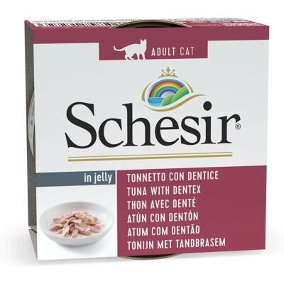 Schesir Tonijn Dentex Kattenvoeding - Gelei 85g Schesir Tonijn Dentex Kattenvoeding - Gelei 85g
