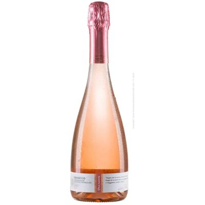 Paladin Prosecco Rosé Brut 2023 - Mousserende wijn Paladin Prosecco Rosé Brut 2023 - Mousserende wijn