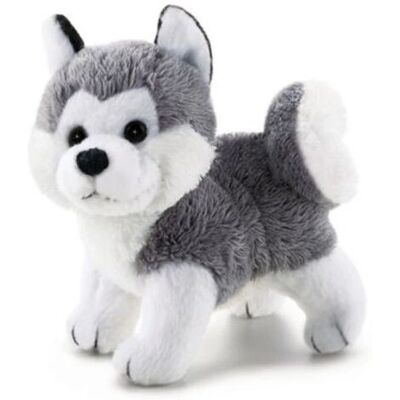Peluches Husky Trudi - Petit Peluches Husky Trudi - Petit