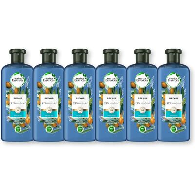 Herbal Essences - Argan Oil Of Morocco Regeneration Shampoo - 6 x 400 ml Herbal Essences - Argan Oil Of Morocco Regeneration Shampoo - 6 x 400 ml