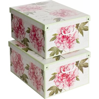 LAVATELLI Modello - Set di 2 scatole armadio, 49x40x24 cm - scatola di stoccaggio LAVATELLI Modello - Set di 2 scatole armadio, 49x40x24 cm - scatola di stoccaggio