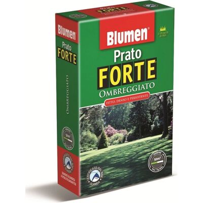 Blumen - Miscela di Semi per Prato all'Ombra - Miscela di Semi Blumen - Miscela di Semi per Prato all'Ombra - Miscela di Semi