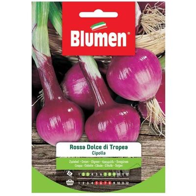 Semi di Cipolla Rossa Blumen - Precoce, Dolce Semi di Cipolla Rossa Blumen - Precoce, Dolce