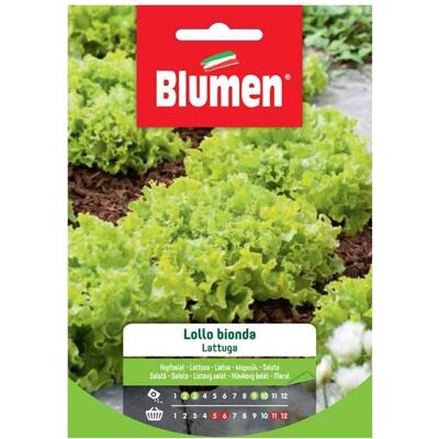 BLUMEN Lollo Bionda - Semi di Lattuga BLUMEN Lollo Bionda - Semi di Lattuga