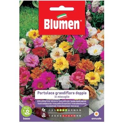 BLUMEN Portulaca Grandiflora Doppia - Semi di Fiori BLUMEN Portulaca Grandiflora Doppia - Semi di Fiori