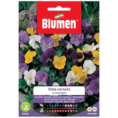 BLUMEN - Miscuglio di semi di viola cornuta - Semi di fiori BLUMEN - Miscuglio di semi di viola cornuta - Semi di fiori