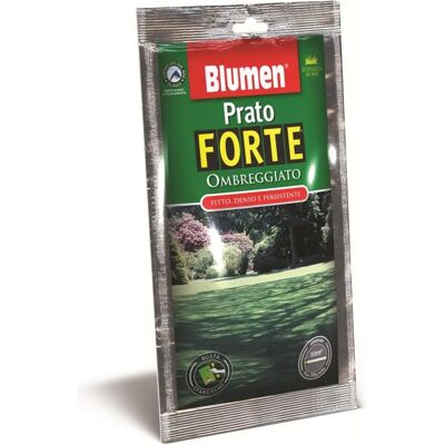 Blumen Schattenrasen 200g - Rasenmischung für Schatten Blumen Schattenrasen 200g - Rasenmischung für Schatten