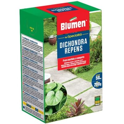 Semi di Erba Dichondra Repens - Resistente alla siccità - 200g - Per climi secchi Semi di Erba Dichondra Repens - Resistente alla siccità - 200g - Per climi secchi