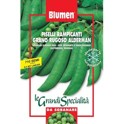 BLUMEN Piselli Rampicanti - Grano Rugoso Maturità Tardiva BLUMEN Piselli Rampicanti - Grano Rugoso Maturità Tardiva