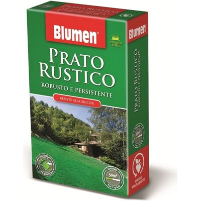 BLUMEN Modello - Miscela di Sementi Resistenti per Prati Rustici - 1kg BLUMEN Modello - Miscela di Sementi Resistenti per Prati Rustici - 1kg