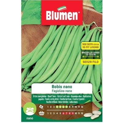 Blumen Fagiolini Nani - Fagiolini Nani Blumen Fagiolini Nani - Fagiolini Nani