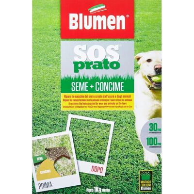 Blumen Fito - Rigeneratore prato - Semi e fertilizzante 2 in 1 - 100 mq Blumen Fito - Rigeneratore prato - Semi e fertilizzante 2 in 1 - 100 mq