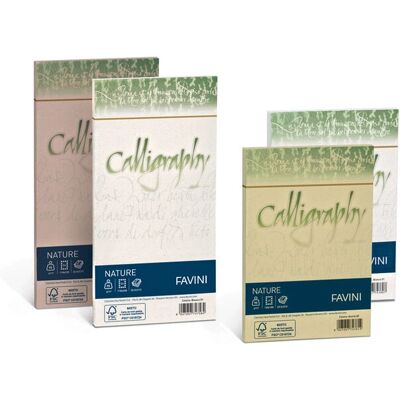 Favini A69W204 Gold A4 Druckpapier - 50 Blatt Favini A69W204 Gold A4 Druckpapier - 50 Blatt