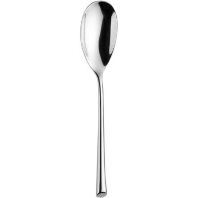 Pinti Inox 12 pezzi Cucchiai da tavola in acciaio inox - Cucchiaio Pinti Inox 12 pezzi Cucchiai da tavola in acciaio inox - Cucchiaio