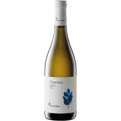 Belisario Passerina 2022 - Vino Belisario Passerina 2022 - Vino