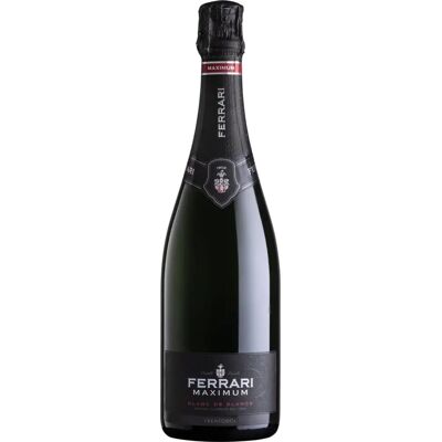 Ferrari Chardonnay Sparkling Wine - Trento DOC - Elegant & Fresh Ferrari Chardonnay Sparkling Wine - Trento DOC - Elegant & Fresh