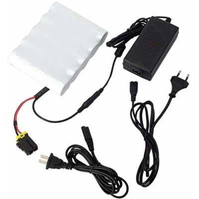 Scoprega - 6130041n - NiMH Lead - Kit batteria Scoprega - 6130041n - NiMH Lead - Kit batteria