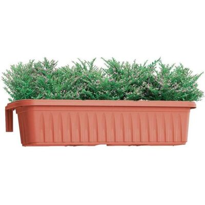 LGVSHOPPING - RONDINE - Terracotta - Plastique - Planter - Publicité LGVSHOPPING - RONDINE - Terracotta - Plastique - Planter - Publicité