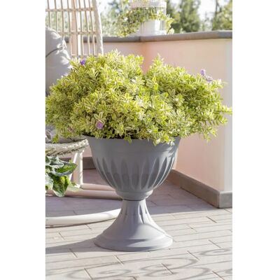 Bama Copa - 33 x 35 cm - Antracita - Copa Bama Copa - 33 x 35 cm - Antracita - Copa