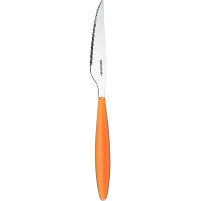 Guzzini Feeling Oranje Glans 22,5cm Steakmes Guzzini Feeling Oranje Glans 22,5cm Steakmes