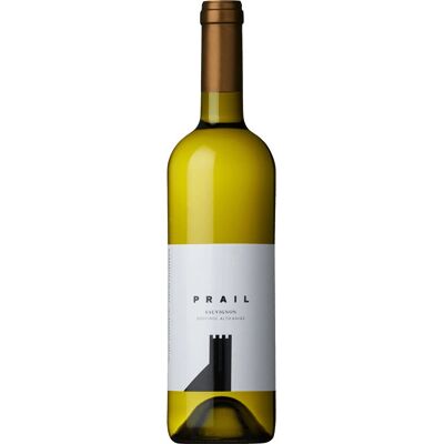 Schreckbichl Sauvignon Prail 2023 - Weißwein Schreckbichl Sauvignon Prail 2023 - Weißwein