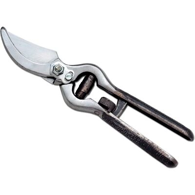 Cesoie da vigna Ausonia 31006 - 23 cm - Forgiato Professionale Cesoie da vigna Ausonia 31006 - 23 cm - Forgiato Professionale