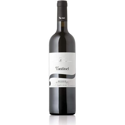 Fantinel Refosco dal Peduncolo Rosso 2021 - Vino Rosso Fantinel Refosco dal Peduncolo Rosso 2021 - Vino Rosso