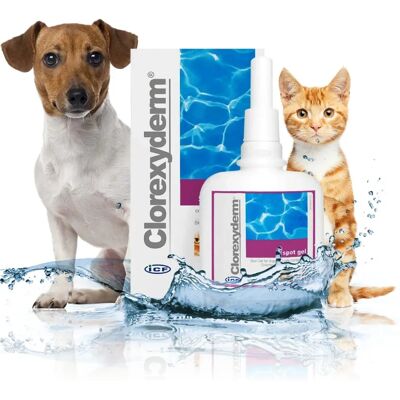 ICF Clorexyderm gel spot 100 ml ICF Clorexyderm gel spot 100 ml